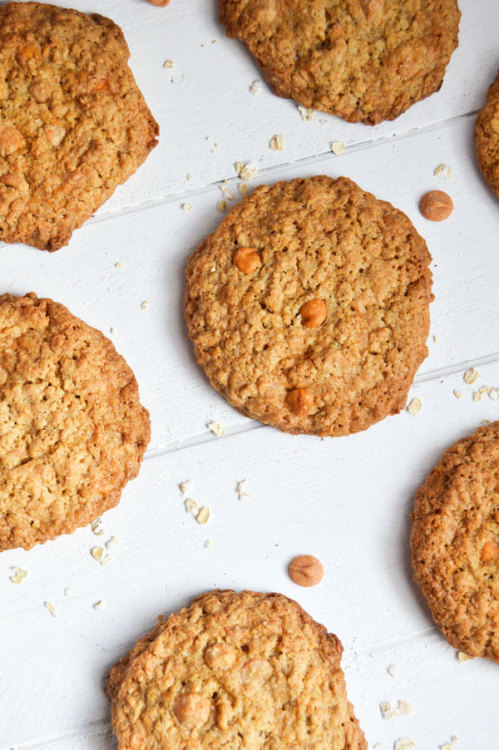 intensefoodcravings:Crispy crunchy oatmeal cookies are peppered with butterscotch chips and the size
