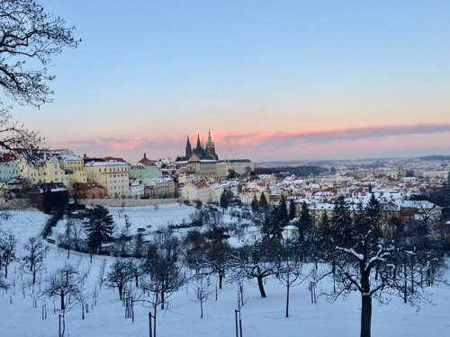 Fresh snow dusting Prague’s gorgeous skyline ❄️#Prague #czechrepublic #snow #snowing #winter #suns