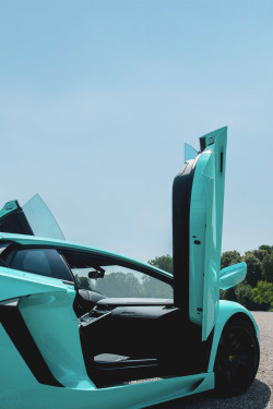 classyhustler:  tropical Aventador | photographer