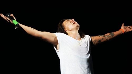 lovehandledharry:2013 - 2015
