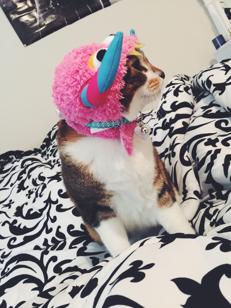 rightandreal:  The monsters turned out to be just…my cat 😸