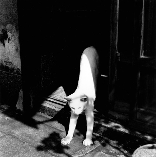 questcequecestqueca.tumblr.com/post/41098723646/