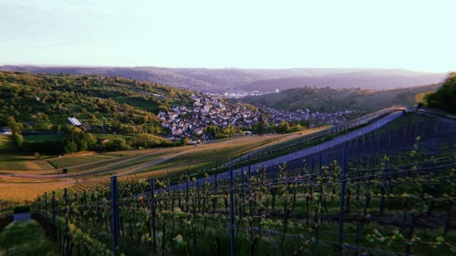 ❁ ° ° ° #vineyardvalley #huji #uhlbach #obertürkheim #rotenberg #nullsiebenelf #lie