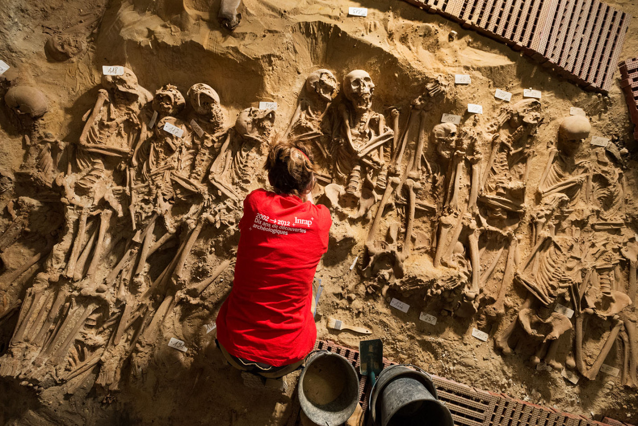nevver:  Don’t look in the basement, 200 skeletons found in Paris