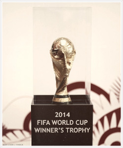 dsmithpellys:  fifa world cup 2014 trophy 