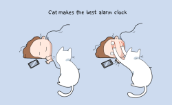 boredpanda:    10 Benefits Of Having A Cat  