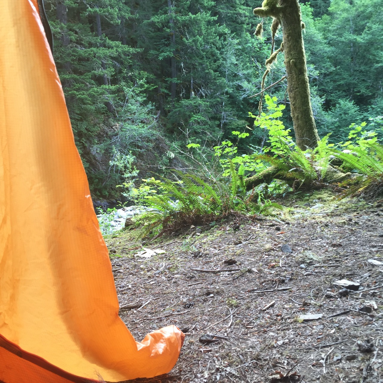 dozer09:  mossyoakmaster:  God I love living in the PNW! Mini camping adventure out