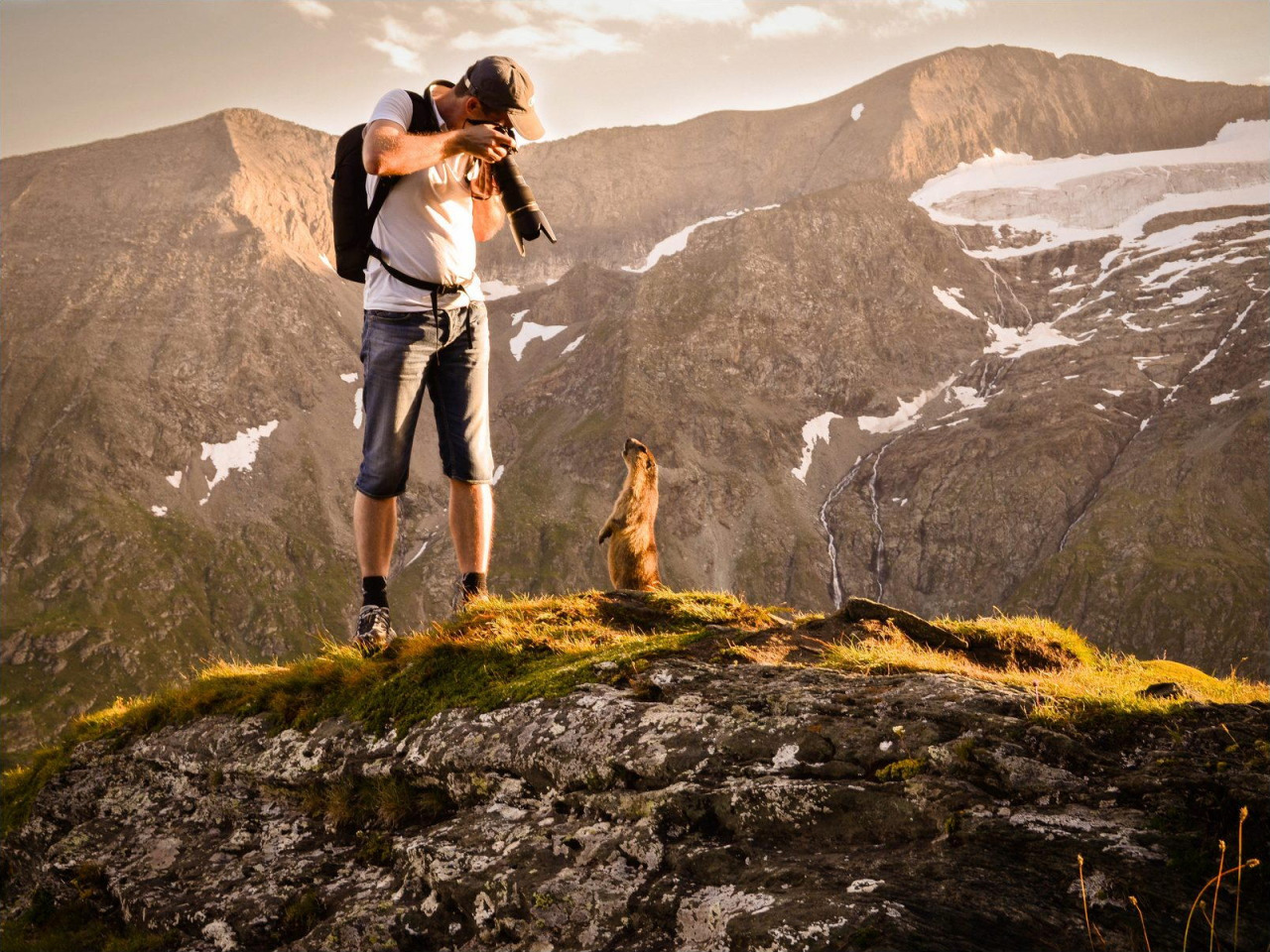 vurtual:  The marmot and me (by Péter Hegedűs) 