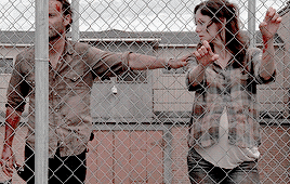 rickreedus:The Walking Dead Meme | Eight Scenes [1/8]  
