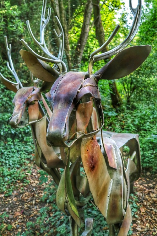 Deer Sculpture, Brungerley Park at Clitheroe, Lancashire, 26.7.18.