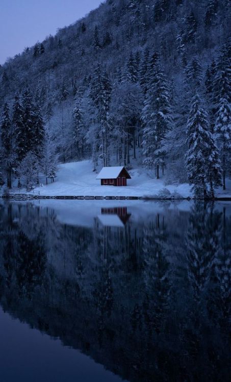 Winter, lake, house, evening, nature, 1280x2120 wallpaper @wallpapersmug : ift.tt/2FI4itB - 