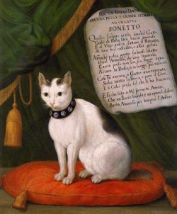 Kelcipher:  Art-Nimals:  When You Love Your Cat So Much You Have To Write It A Sonnet.