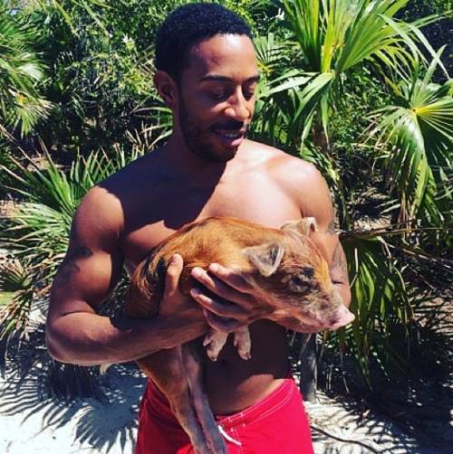 Stars With Pigs: These Celebs Go Hog Wild - see all the pics!