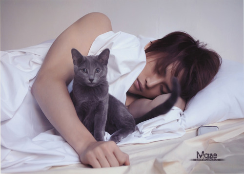 fuku-shuu:  This is my 5,000th post and I decided to do a Jaejoong Kiko Kitty spam. ¯\_(ツ)_/¯   reblogging again two years later for neko day