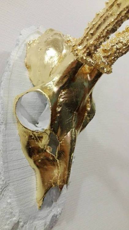 2017 - schedel van ree - 23,75 karaat - rosenobel dubbelgoud, los - verguld op oliebasis