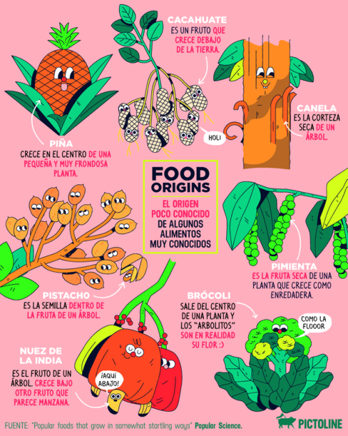 pictoline: El origen poco conocido de algunos alimentos muy conocidos