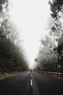 earth-dream:  Giants