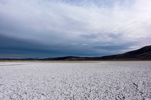 Alkali Lake, OR