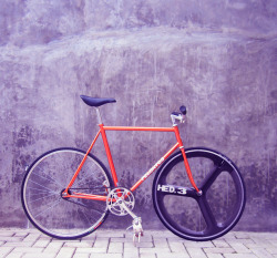 Hipstersled:  Http://Hipstersled.tumblr.com/