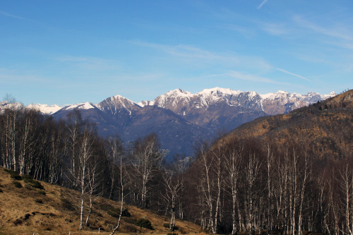 Looking NorthAn early spring hike from Mezzovico in southern Ticino, Switzerland. Still plenty of sn
