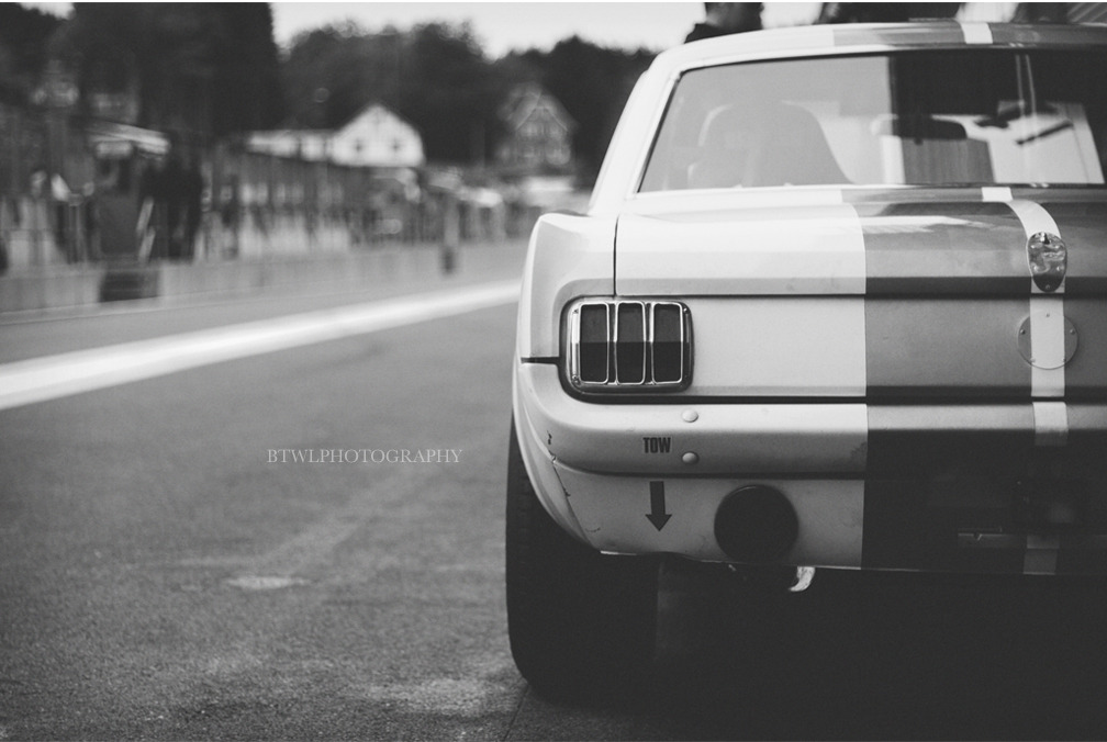 Ford Mustangs