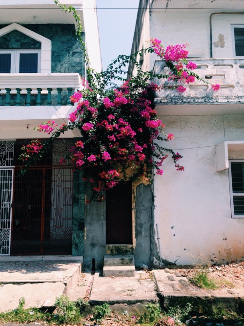 bennetttttt:strolling around Pondicherry, India