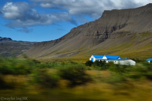 wayfaring:Gotta go Fast!!!! Most of the farmhouses in Iceland have red roofs, but this one stood out