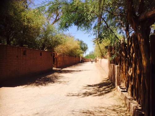 Porn photo San Pedro de Atacama Jan 2016