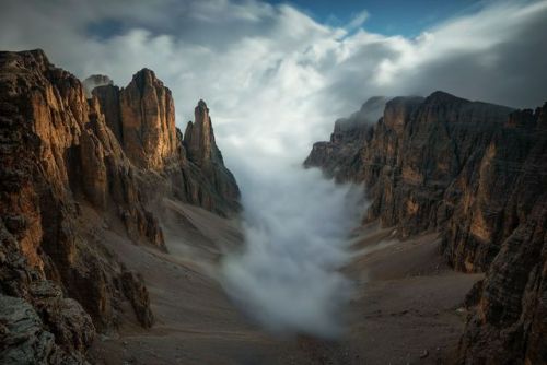 Top Shot: Creeping Through    Top Shot features the photo with the most votes from the previous day&