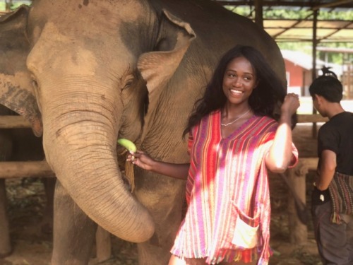 onetwo-t:Feeding the most majestic creatures in Chiang Mai, Thailand