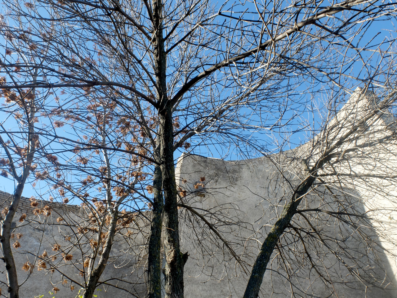 ainidocumentary:  Cemetery In Mukhadgverdi. Tbilisi.  Architect: V. Djorbenadze