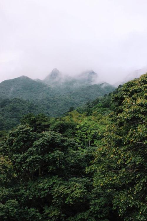 El Yunque