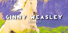georqeweasleys-blog: Harry Potter characters and their p a t r o n u s e s. 