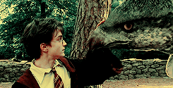 arthurpendragonns: I solemnly swear that I am up to no good.