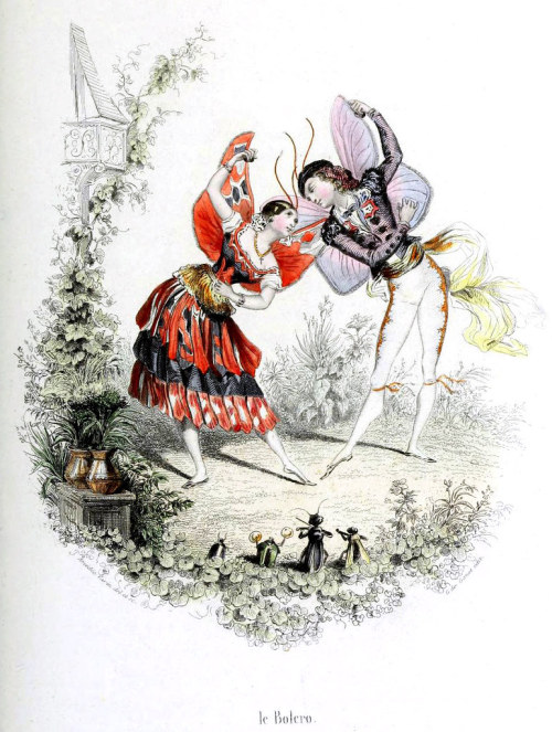 VARIN, Amédée (1818-1883). ‘Le Bolero’, “Les Papillons, Métamorphoses Terrestres des Peuple