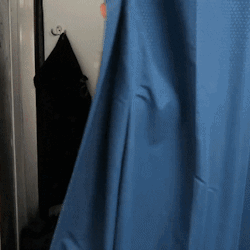 brentrollinsdailypicture: the fitting room