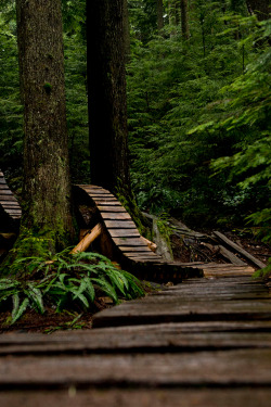 plasmatics-life:  North Vancouver ~ By Jeremy