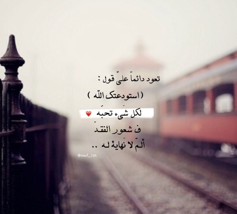 تعود دائماً علىّ قول :استودعتك الله لكل شَيء