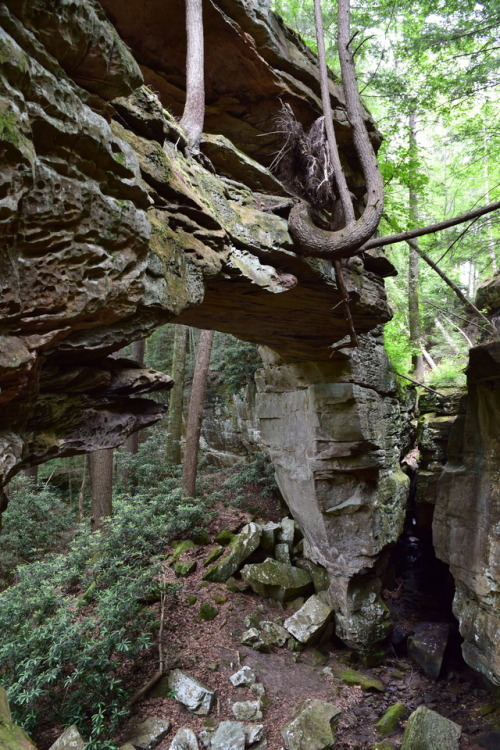 Split Bow Arch and Bear Creek Overlook in McCreary County KY