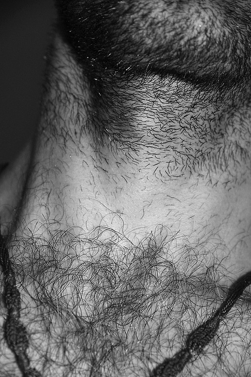 shaun-alejandro:  All the woofs 