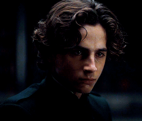 Timothee Chalamet AsPaul Atreides In DUNE