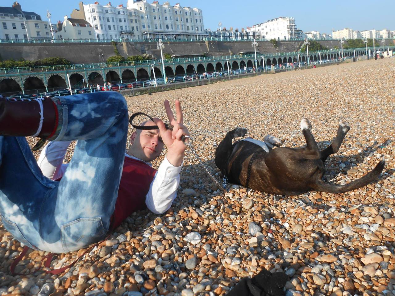 sigrunesigrune:  A couple of dogs on Brighton beach waving their legs in the air,