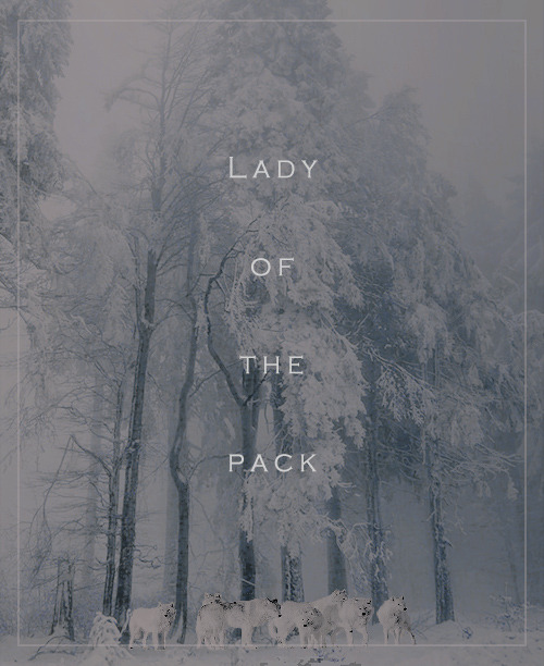 lyannasnow:My Blog of the Season Runner Upurl graphic → @qveensvnsa