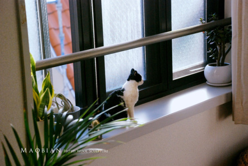 Last December I took my needle felted cat to travel to Tokyo.(part. 2)Before Natsume Soseki’s(