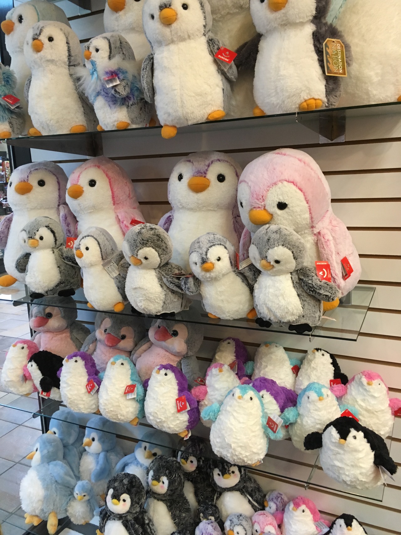 penguin stuffie