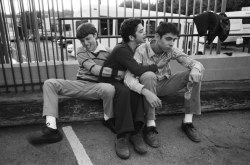 ocd-rituals:  John Francis Daley, Samm Levine, and Martin Starr filming the episode “Beers &amp; Weirs.” 