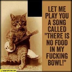 nohtyhumor:    OMG my hangry cats theme song!!
