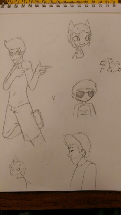 aggressivebageling: Hi danekez! These are some doodles I did the other day I’m pretty proud of