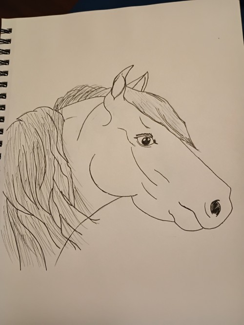 Took A Couple Weeks Off Of Drawing But I Decided To Try Drawing And Inking A Horse.