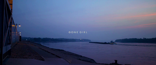ferrisbueller:  Gone Girl (2014) - Dir. David Fincher 